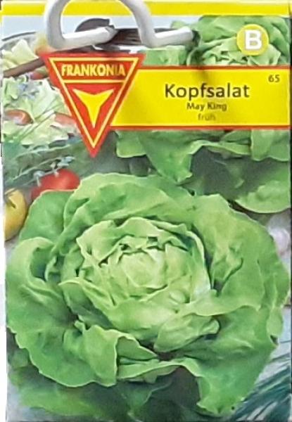 Kopfsalat May King, früh, Hst: Frankonia