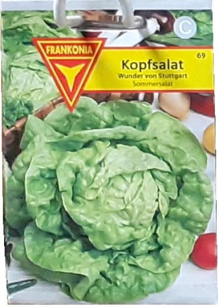 Kopfsalat, Wunder von Stuttgart, Sommersalat, Frankonia